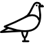 100%VENEZIANO